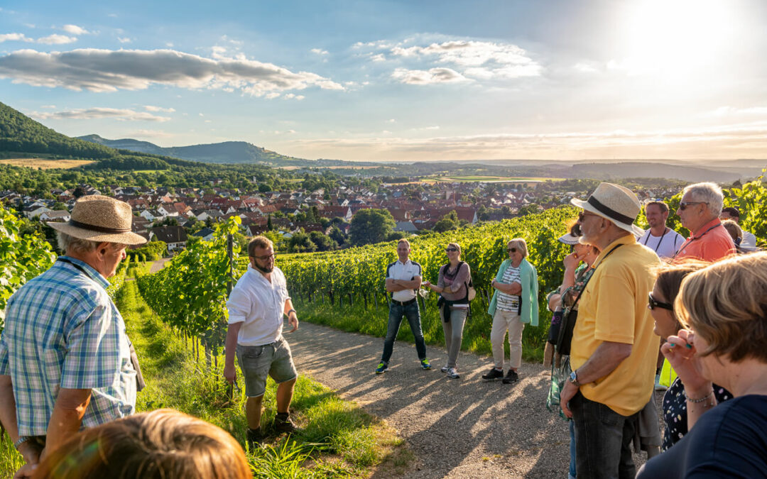 Sommerweingenuss